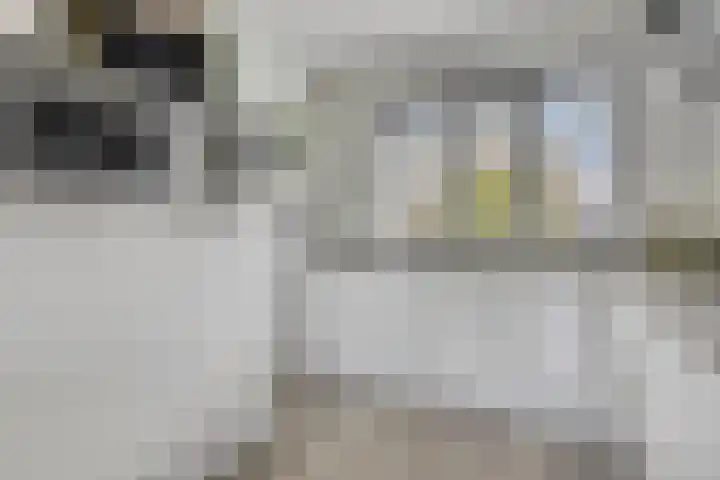 Beekvoorde 25 Borne thumbnail 5