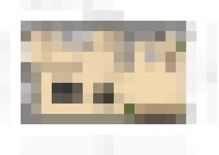 Beekvoorde 27 Borne thumbnail 22