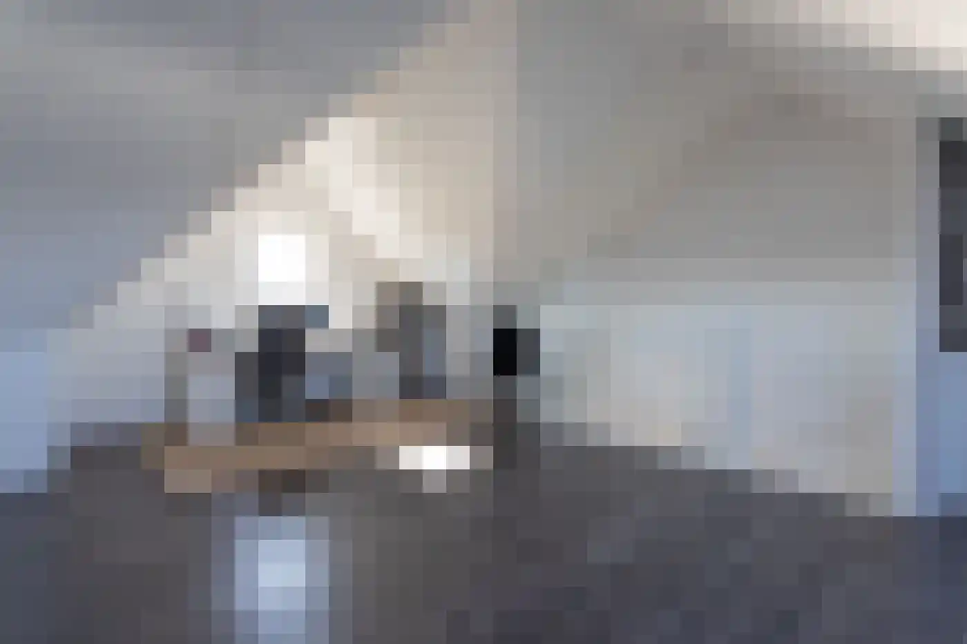 Beekvoorde 27 Borne thumbnail 22