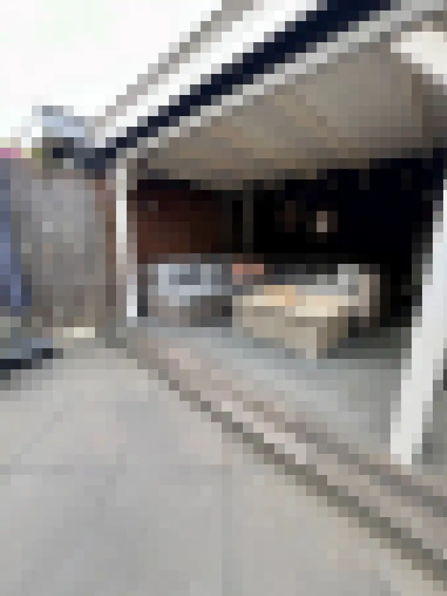Beekvoorde 27 Borne thumbnail 28