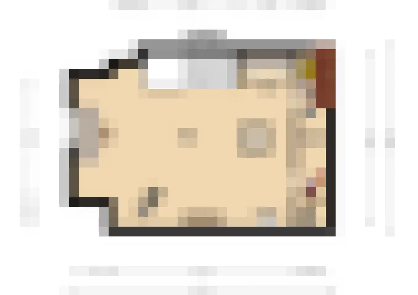Beekvoorde 27 Borne thumbnail 31