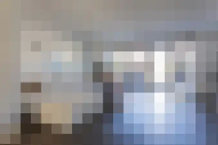 Beekvoorde 27 Borne thumbnail 6