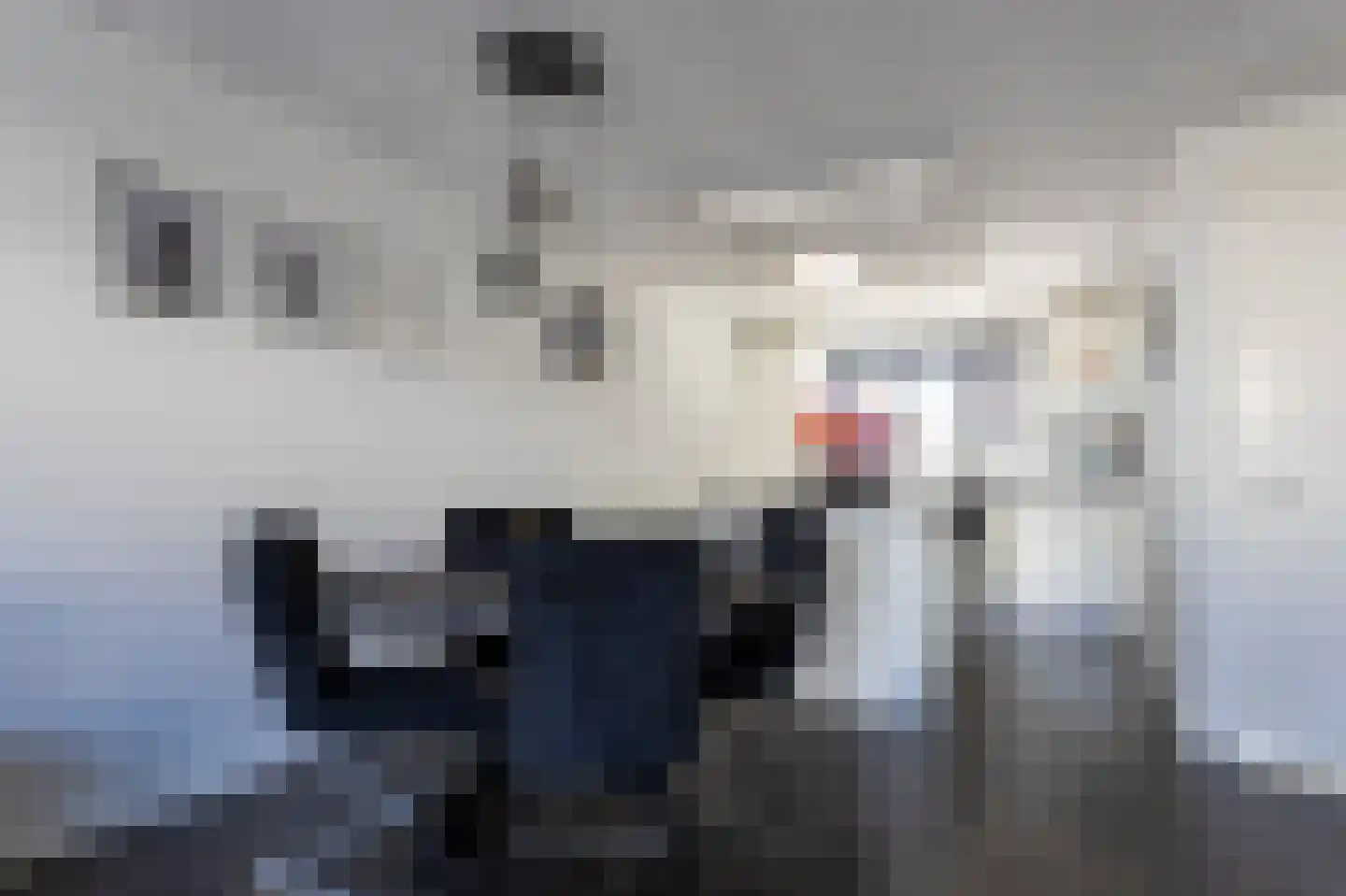 Beekvoorde 27 Borne thumbnail 8