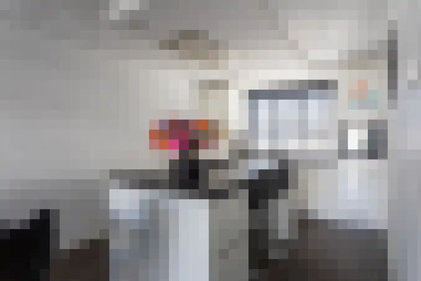 Beekvoorde 27 Borne thumbnail 9