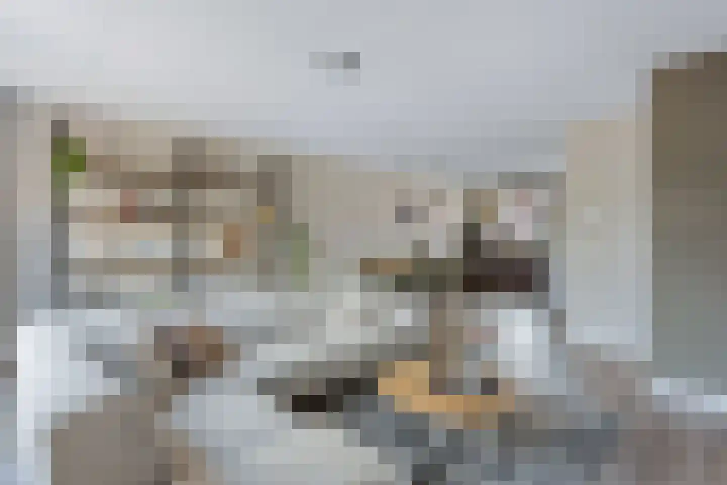Beekvoorde 3 Borne thumbnail 10