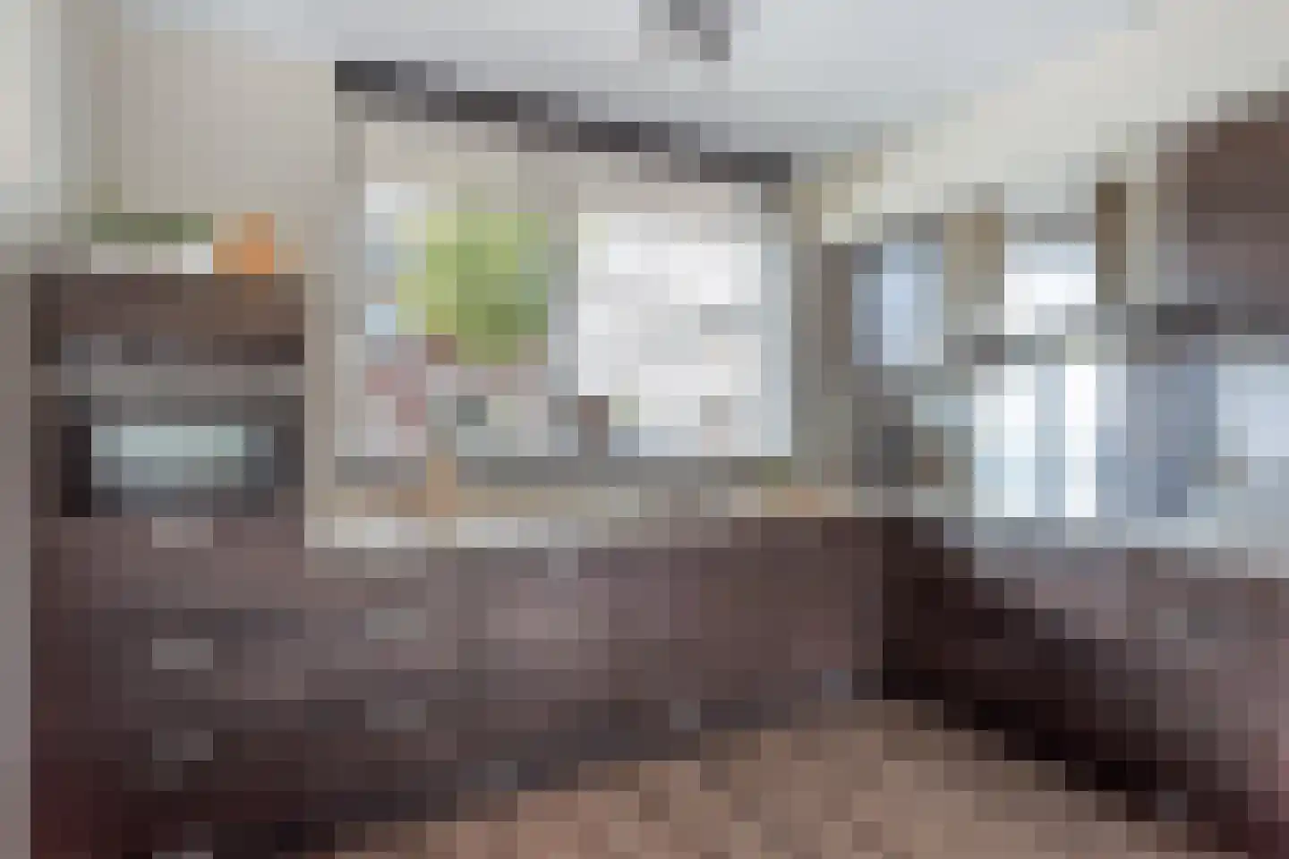 Beekvoorde 3 Borne thumbnail 12