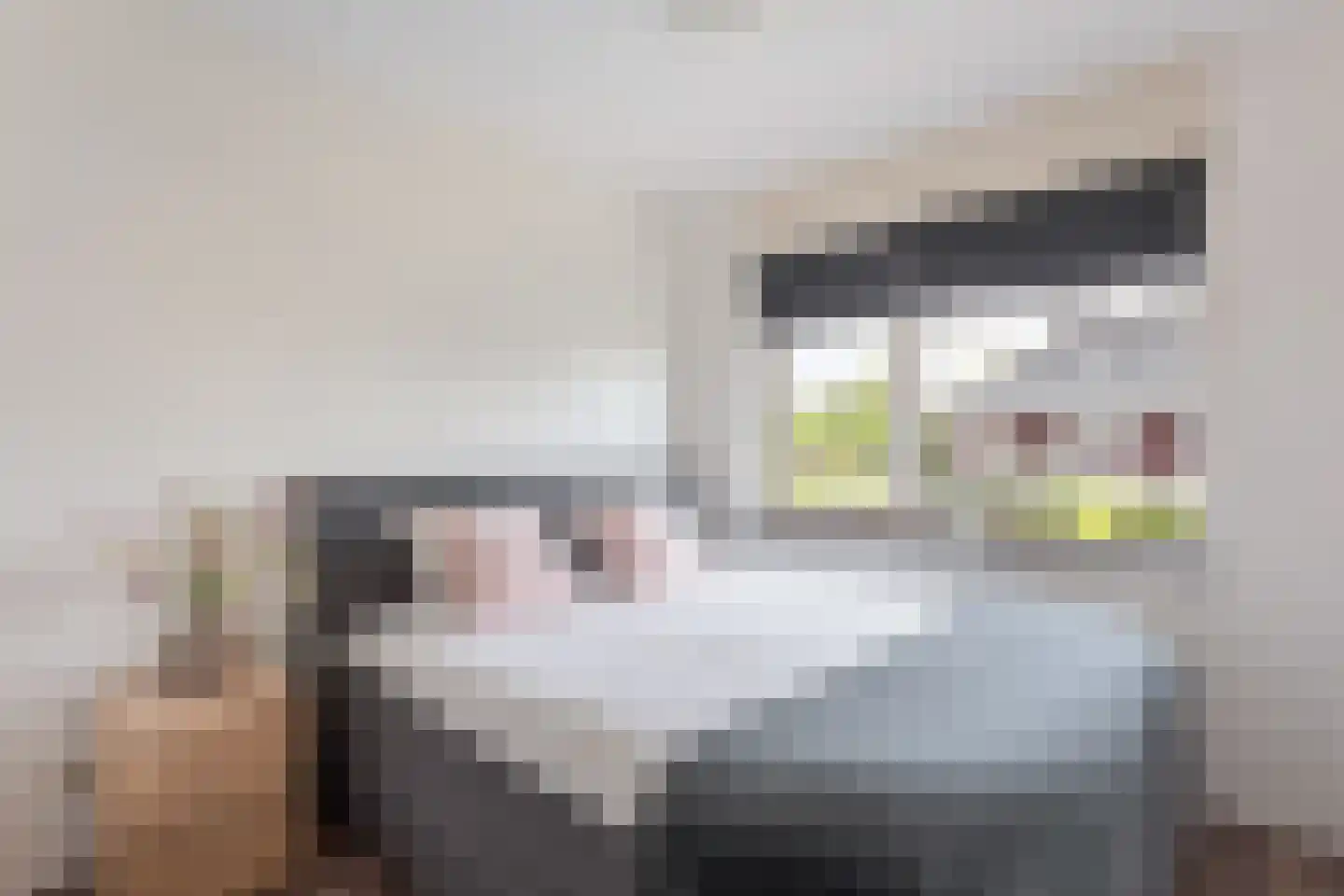 Beekvoorde 3 Borne thumbnail 16