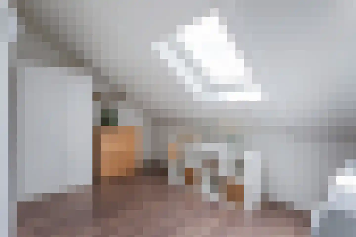 Beekvoorde 3 Borne thumbnail 19