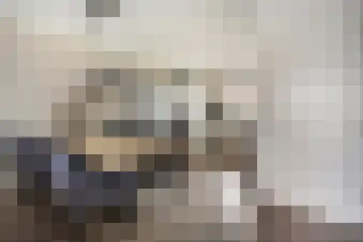 Beekvoorde 43 Borne thumbnail 12