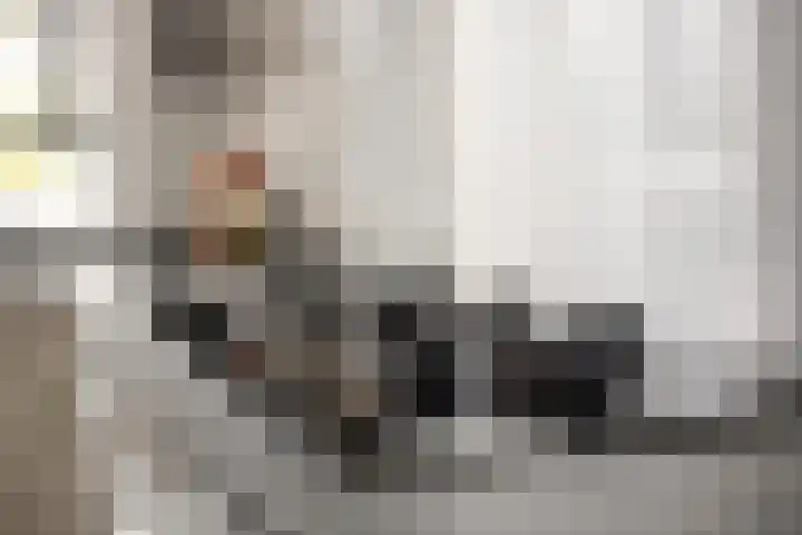 Beekvoorde 43 Borne thumbnail 14