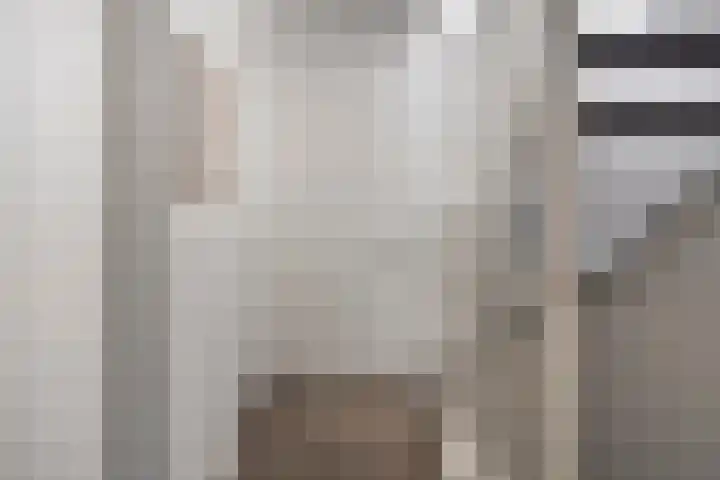 Beekvoorde 43 Borne thumbnail 15