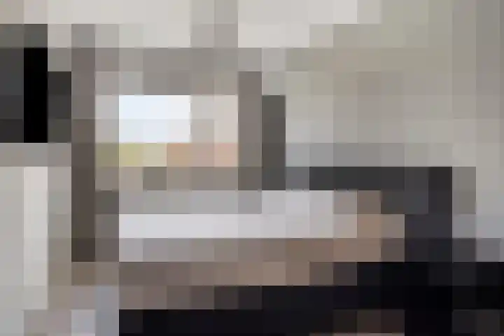 Beekvoorde 43 Borne thumbnail 16