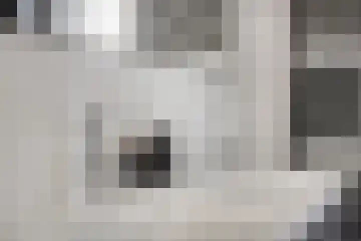 Beekvoorde 43 Borne thumbnail 21