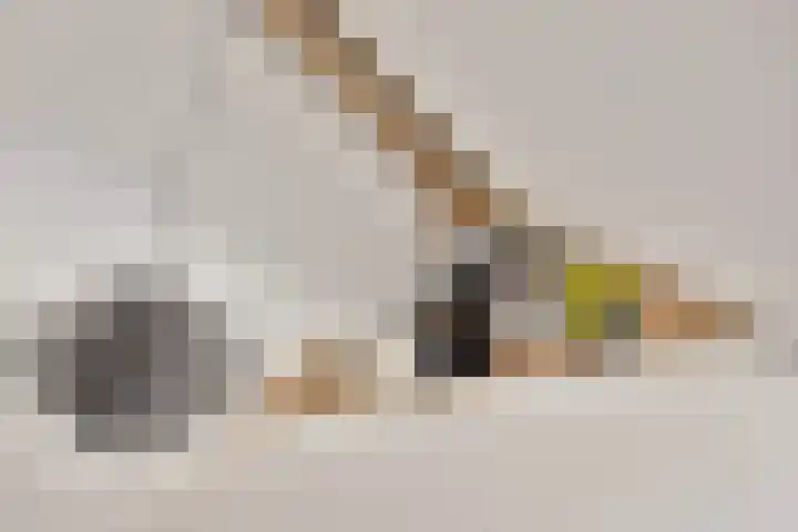 Beekvoorde 43 Borne thumbnail 31