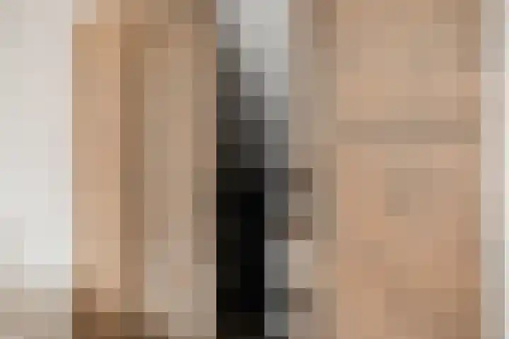Beekvoorde 43 Borne thumbnail 32