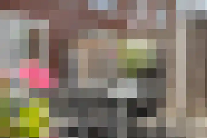 Beekvoorde 43 Borne thumbnail 33
