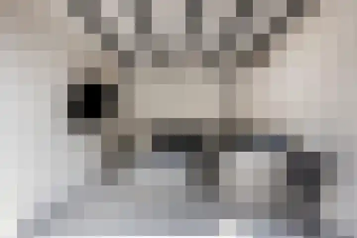 Beekvoorde 43 Borne thumbnail 35