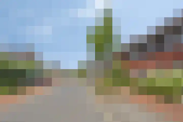 Beekvoorde 43 Borne thumbnail 36
