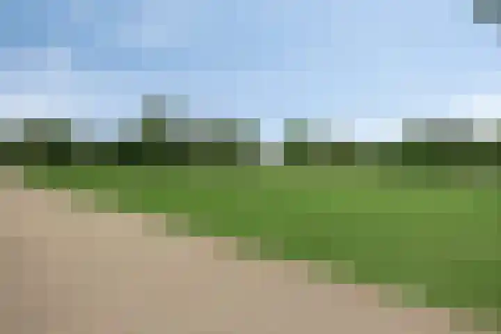 Beekvoorde 43 Borne thumbnail 38