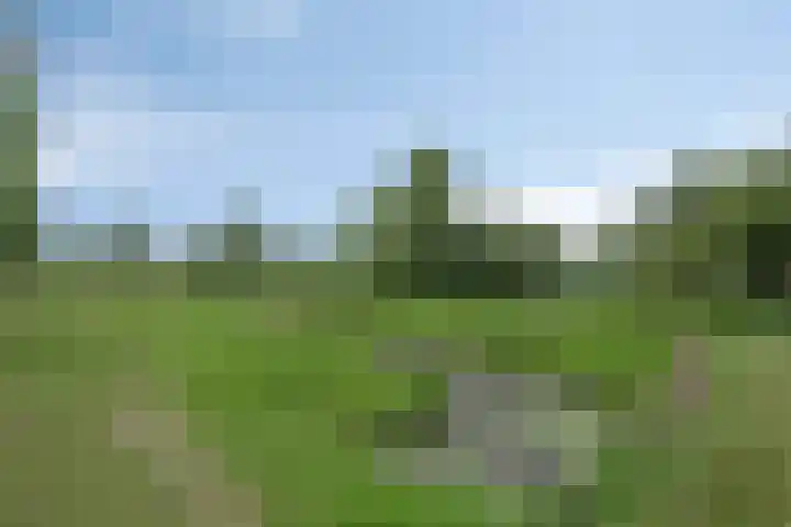 Beekvoorde 43 Borne thumbnail 39