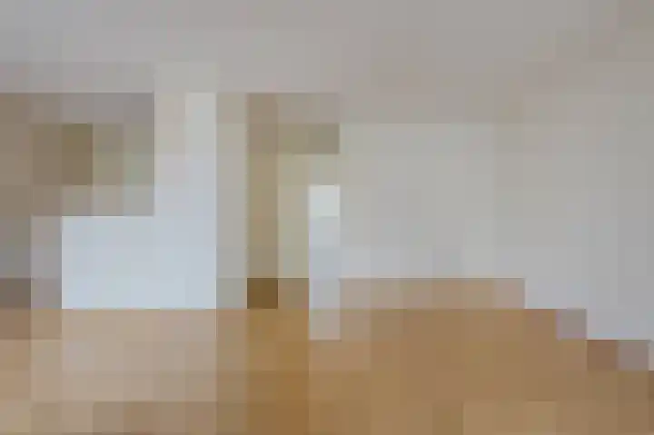 Beekvoorde 43 Borne thumbnail 4