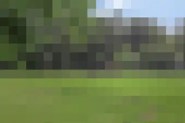 Beekvoorde 43 Borne thumbnail 40