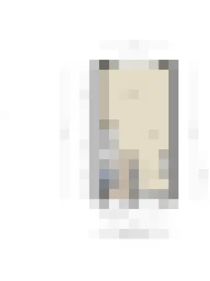Beekvoorde 43 Borne thumbnail 41