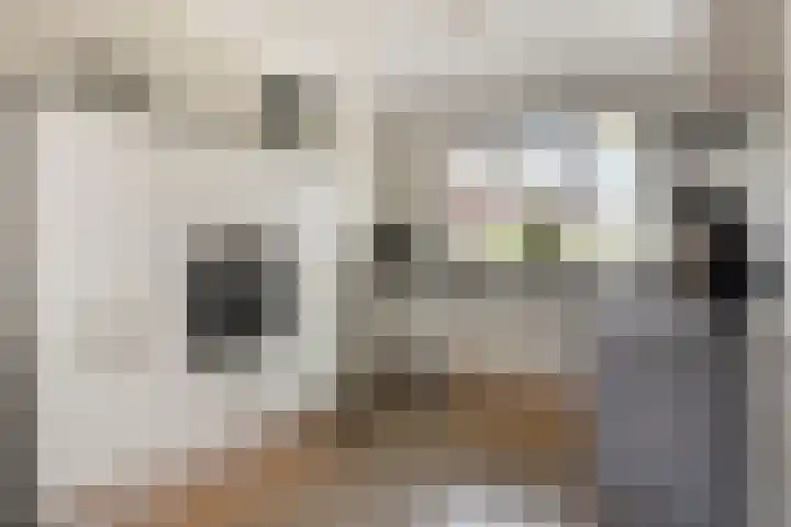 Beekvoorde 43 Borne thumbnail 5