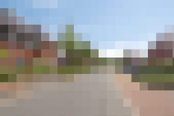 Beekvoorde 43 Borne thumbnail 7