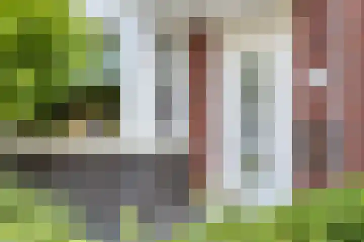 Beekvoorde 63 Borne thumbnail 11