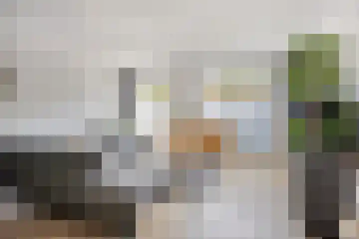 Beekvoorde 63 Borne thumbnail 13
