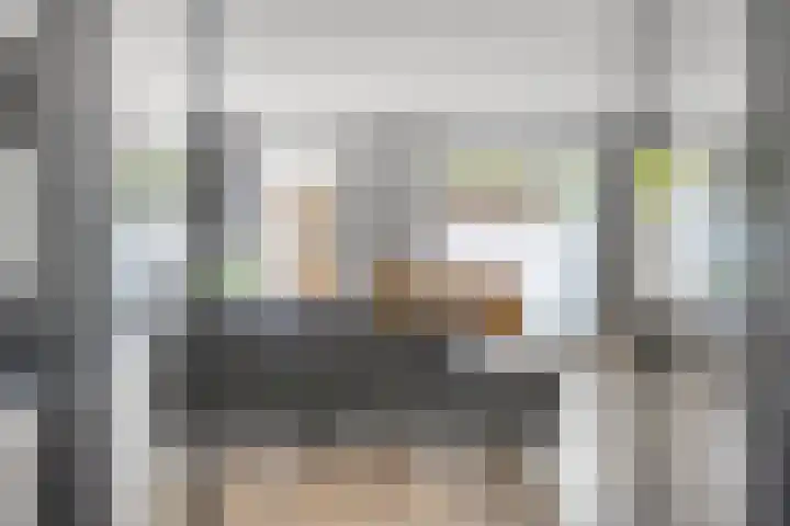 Beekvoorde 63 Borne thumbnail 14