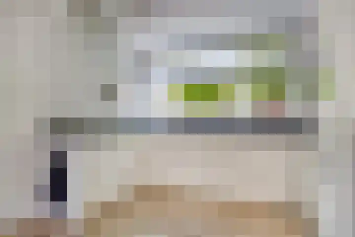 Beekvoorde 63 Borne thumbnail 20