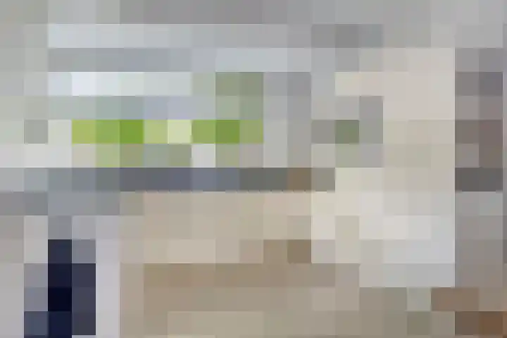 Beekvoorde 63 Borne thumbnail 21