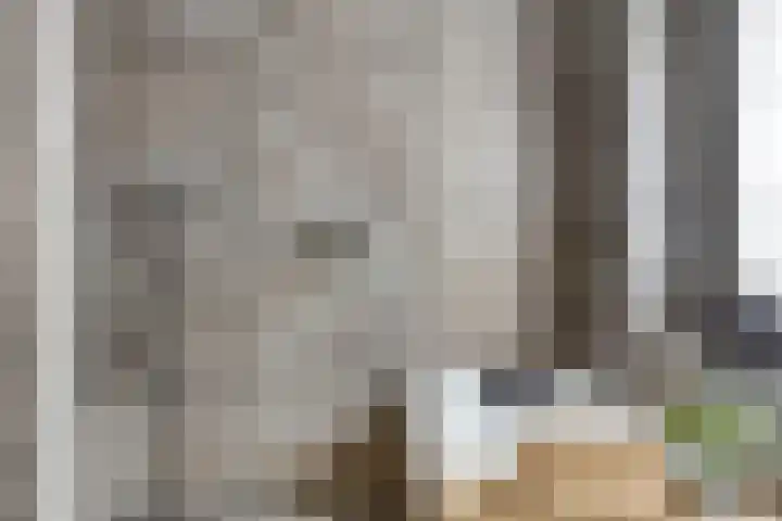 Beekvoorde 63 Borne thumbnail 27