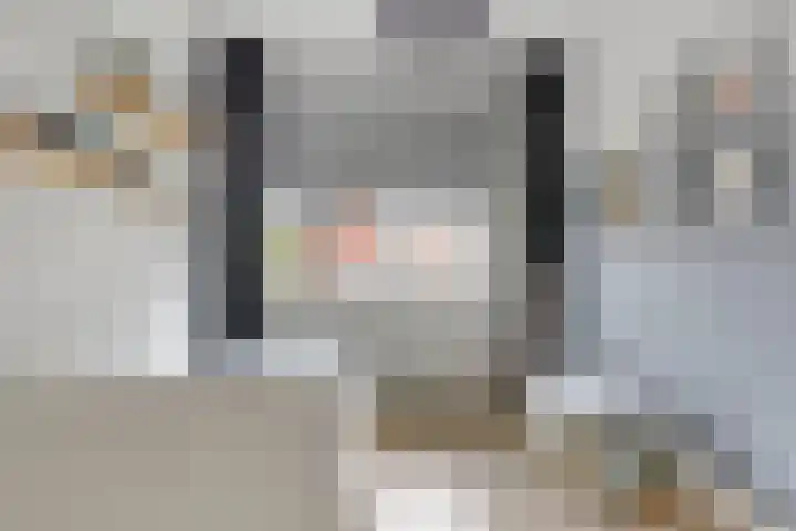 Beekvoorde 63 Borne thumbnail 30