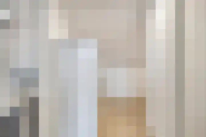 Beekvoorde 63 Borne thumbnail 34