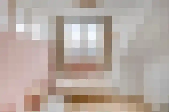 Beekvoorde 63 Borne thumbnail 37