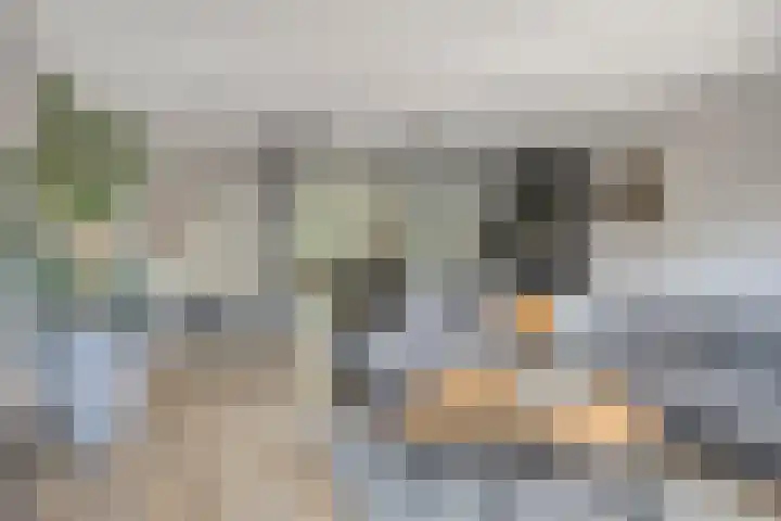 Beekvoorde 63 Borne thumbnail 4