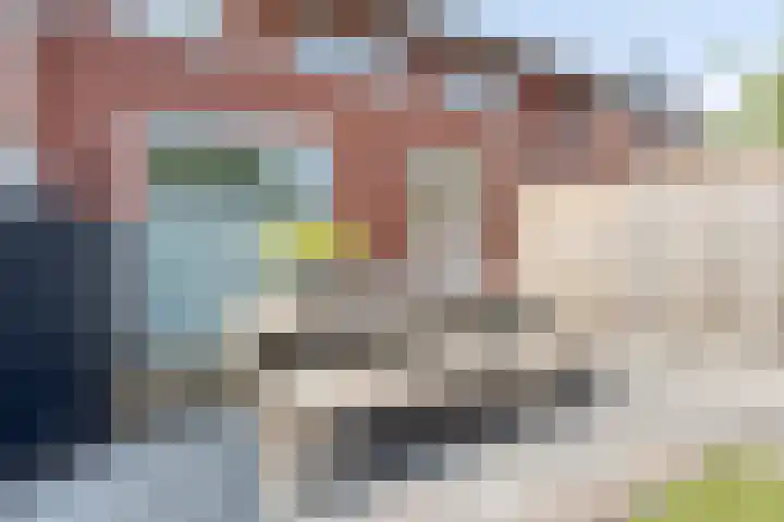 Beekvoorde 63 Borne thumbnail 41