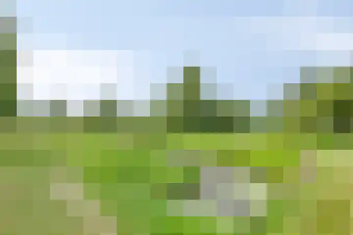 Beekvoorde 63 Borne thumbnail 48