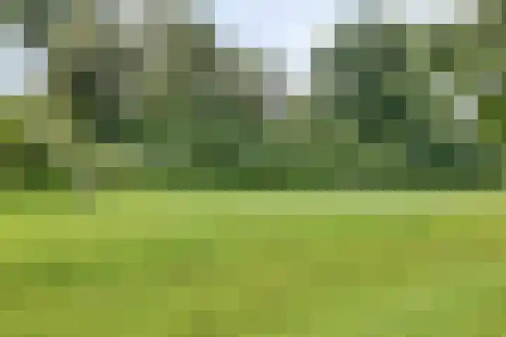 Beekvoorde 63 Borne thumbnail 50