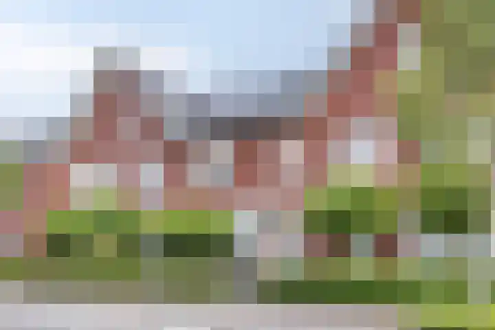 Beekvoorde 63 Borne thumbnail 9