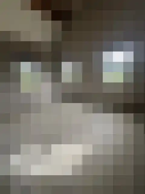 Beekweg 1 Belfeld thumbnail 14