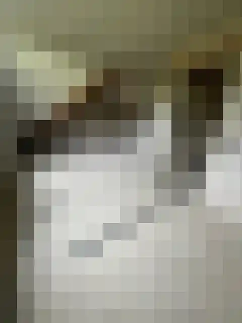 Beekweg 1 Belfeld thumbnail 15