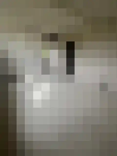 Beekweg 1 Belfeld thumbnail 19