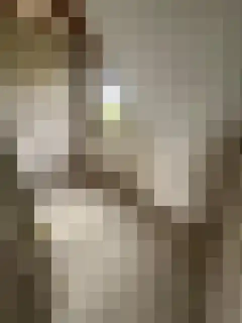 Beekweg 1 Belfeld thumbnail 20