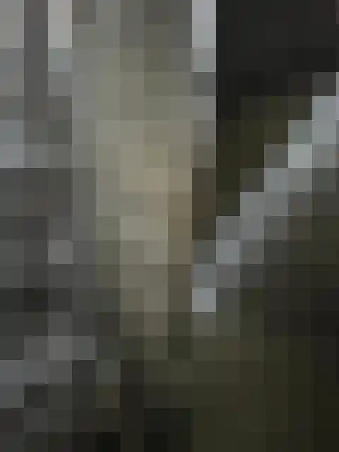 Beekweg 1 Belfeld thumbnail 21