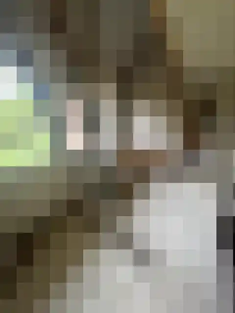 Beekweg 1 Belfeld thumbnail 29