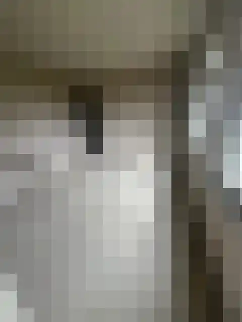 Beekweg 1 Belfeld thumbnail 9